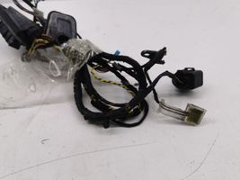 BMW X5 E70 Cablaggio porta anteriore 9229762