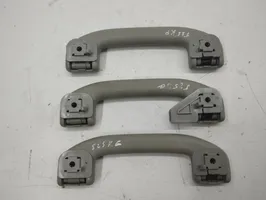 Nissan X-Trail T31 Un set di maniglie per il soffitto 