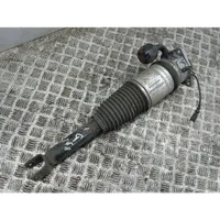 Bentley Flying Spur Air suspension rear shock absorber 3W5616001B