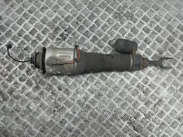 Bentley Flying Spur Front air suspension shock absorber 3W5616039B