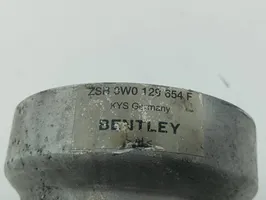 Bentley Flying Spur Manguera/tubo de toma de aire 3W0129654F