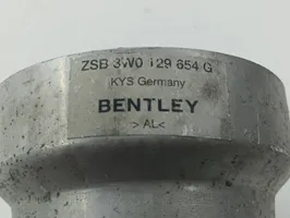 Bentley Flying Spur Трубка (трубки)/ шланг (шланги) 3W0129654G
