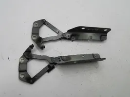 Land Rover Evoque I Cerniere del vano motore/cofano 6H5216800AC