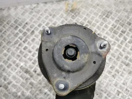 Toyota RAV 4 (XA50) Ammortizzatore anteriore 4851042730