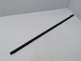 Honda Civic Rear door glass trim molding 