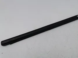 Honda Civic Rear door glass trim molding 