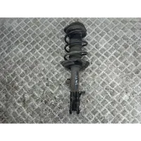 Toyota C-HR Front shock absorber with coil spring 48520F4020