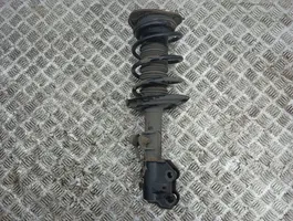 Toyota C-HR Front shock absorber with coil spring 48520F4020