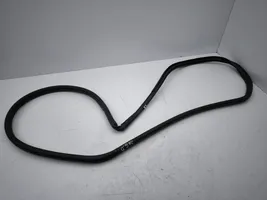 Toyota C-HR Rear door rubber seal (on body) 