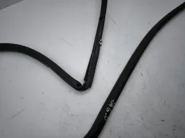 Toyota C-HR Rear door rubber seal (on body) 