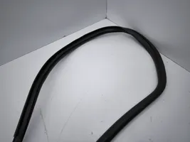 Toyota C-HR Rear door rubber seal (on body) 