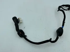 KIA Niro Cableado de puerta trasera 91650G5081R