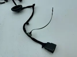 KIA Niro Cableado de puerta trasera 91650G5081R