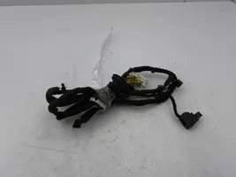 Opel Antara Front door wiring loom 95491036