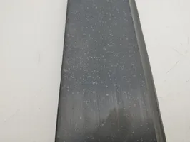 Opel Antara Rear door glass trim molding 96623992