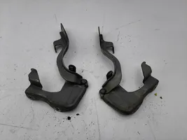 Opel Antara Engine bonnet/hood hinges 