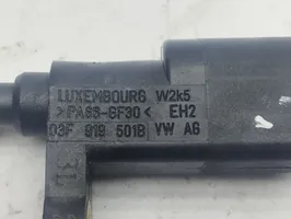 Audi A3 8Y Sonde de température de liquide de refroidissement 03F919501B