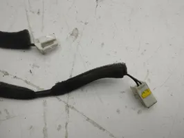 Chevrolet Captiva Cableado de puerta delantera 719R400