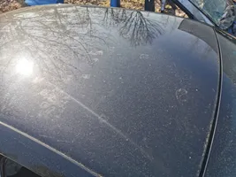 Maserati Quattroporte Dach 