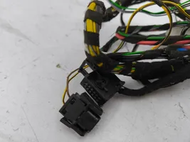 BMW X5 E53 Other wiring loom 8385551