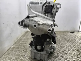 Skoda Octavia Mk4 Silnik / Komplet DLAC