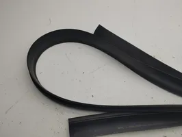 BMW i3 Front door rubber seal 