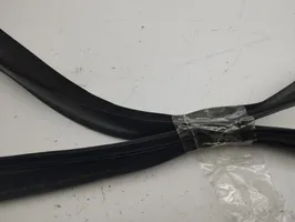 BMW i3 Front door rubber seal 