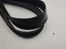 BMW i3 Front door rubber seal 