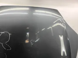 Tesla Model S Vano motore/cofano 