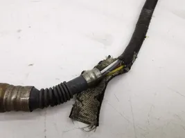 Honda Accord Sonde lambda 36531RL0G01