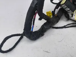 Tesla Model S Dashboard wiring loom P102664402B