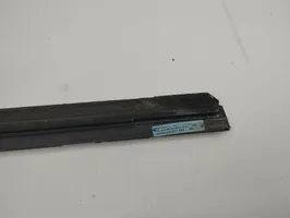 Audi A5 Rear door glass trim molding 