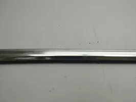 Audi A5 Front door glass trim molding 