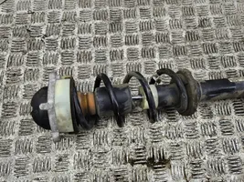 Audi A5 Front shock absorber/damper 8W6031B