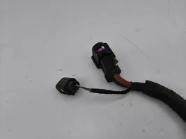 Audi A5 Otros cableados 8W2971111C