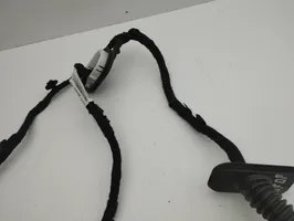 Peugeot 3008 II Cableado de puerta delantera 9818877380