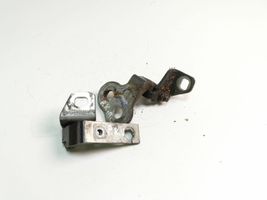 Ford Focus Front door hinge set 