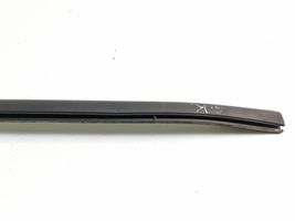 Honda Civic Rear door glass trim molding 