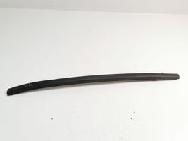 Honda Civic Rear door glass trim molding 