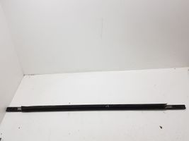 Chrysler Voyager Front door glass trim molding 