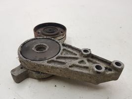 Volkswagen PASSAT B5 Napinacz paska wielorowkowego / Alternatora 950442