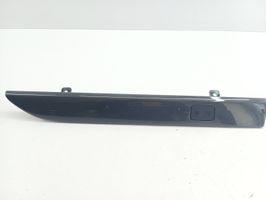 Opel Antara Panel trim 20880541