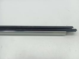 BMW 7 F01 F02 F03 F04 Rubber seal rear door window/glass 