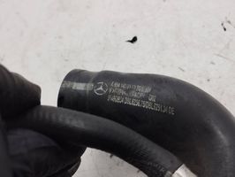 Mercedes-Benz E W213 EGR-venttiili A6541400460