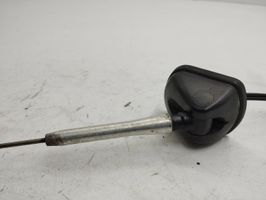 Peugeot 4007 Antenna autoradio 