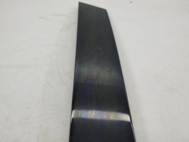 BMW X5 E53 Rivestimento modanatura del vetro della portiera posteriore 