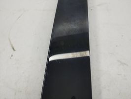 BMW X5 E53 Rivestimento modanatura del vetro della portiera posteriore 