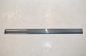 Volkswagen Transporter - Caravelle T5 Rear door trim (molding) 7H5853073B