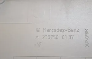 Mercedes-Benz SL R230 Apdaila galinio dangčio A2307500137