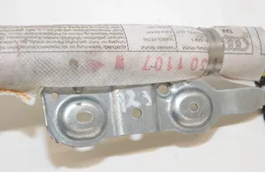 Audi A4 S4 B7 8E 8H Airbag de toit 8E9880742B